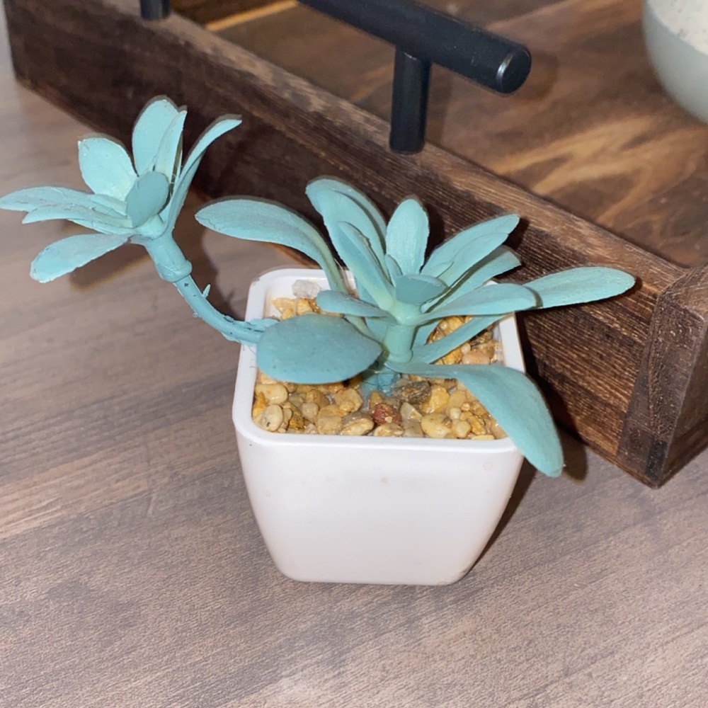 Small faux plant